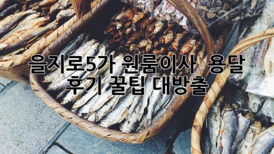을지로5가 원룸이사 🚚 용달 후기: 꿀팁 대방출🍯