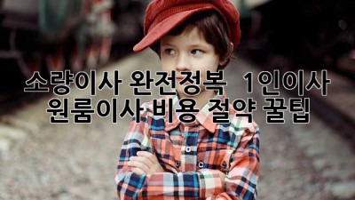 소량이사 완전정복! 📦 1인이사 & 원룸이사 비용 절약 꿀팁 🍯